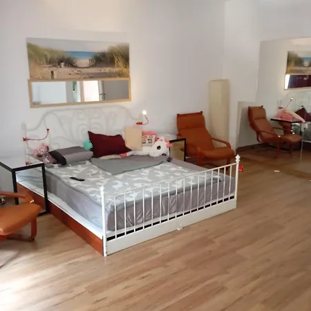 Pensiune New Spacious Villa!